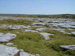 Burren